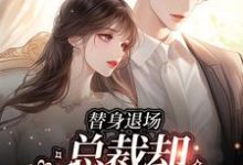 替身退场，总裁却不乐意了小说全文哪里可以免费看？-侠客文学
