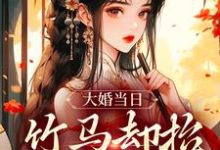 完结版《大婚当日，竹马却抬平妻入门》章节目录在线阅读-侠客文学