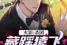 火影：杀团藏踩猿飞，我无敌了小说，火影：杀团藏踩猿飞，我无敌了在线阅读-侠客文学