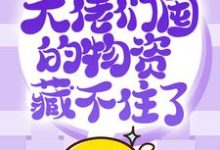 许安小说抢穿末日：大佬们囤的物资藏不住了在线阅读-侠客文学