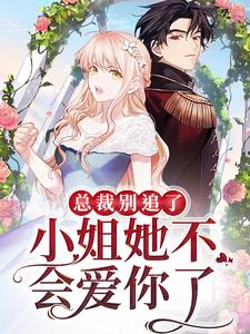 总裁别追了，小姐她不会爱你了小说最新更新在哪里？免费在线看