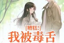 糟糕！我被毒舌霸总缠上了小说有没有完结版在线？-侠客文学