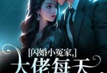 闪婚小冤家，大佬每天都想贴贴小说，闪婚小冤家，大佬每天都想贴贴章节在线阅读-侠客文学