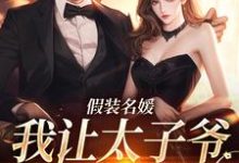 已完结小说《假装名媛，我让太子爷低头》章节在线阅读-侠客文学