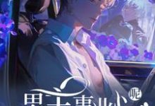 已完结小说《快穿：男主事业心呢，怎么全是恋爱脑》章节在线阅读-侠客文学