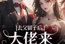 去父留子后，大佬来抓我啦小说无弹窗阅读的网站推荐-侠客文学