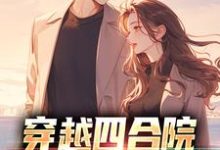 小说《穿越四合院，我一夜得仨娃》章节阅读-侠客文学