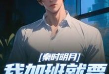 秦时明月：我加班就要被扣经验值赵子珏小说在线章节目录阅读最新章节-侠客文学