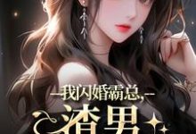 在线寻找我闪婚霸总，渣男他不干了小说的无删减版本-侠客文学