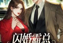 《闪婚霸总，只虐渣不谈情》全集免费在线阅读（傅耘周赫泽）-侠客文学