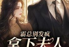 霸总别发疯,拿下夫人才要紧小说完结了吗?在哪里可以免费读到?-侠客文学