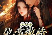 七皇子他靠撒娇博我欢心姜久初小说大结局免费试读-侠客文学