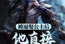 被逼娶公主后，他直接坐了皇位小说的无弹窗阅读体验，寻找免费阅读网站-侠客文学