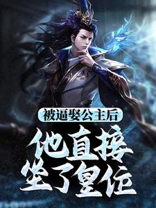 被逼娶公主后，他直接坐了皇位小说的无弹窗阅读体验，寻找免费阅读网站