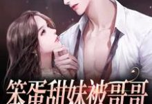 《笨蛋甜妹被哥哥的兄弟盯上了》小说大结局免费试读 殷书漾谢观澜小说-侠客文学