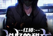 完结版《红楼:说好的甜文咋变恐怖文了》在线免费阅读-侠客文学