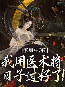 《家道中落？我用医术将日子过好了！》小说章节在线试读，《家道中落？我用医术将日子过好了！》最新章节目录