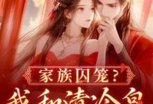 家族囚笼?我和清冷皇子夜夜笙歌小说,家族囚笼?我和清冷皇子夜夜笙歌章节在线阅读-侠客文学