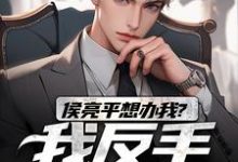 已完结小说《侯亮平想办我?我反手举报他!》章节在线阅读-侠客文学