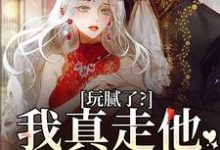 玩腻了？我真走他又不高兴阮柠贺宴川小说完结版章节在线阅读-侠客文学