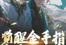 觉醒金手指，我要做人皇林轩小说在线章节免费阅读-侠客文学