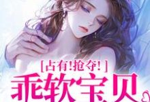 占有！抢夺！乖软宝贝逃不掉小说的无弹窗阅读体验，寻找免费阅读网站-侠客文学