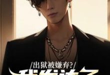 林凡林擎苍小说叫什么（出狱被嫌弃？我发达了你们求啥原谅免费阅读）-侠客文学