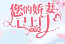 小说《您的娇妻已上门，请签收》章节免费阅读-侠客文学