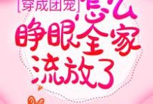 在线免费阅读穿成团宠，怎么睁眼全家流放了？完整小说-侠客文学
