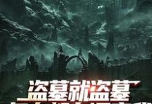 盗墓就盗墓，怎么都在调查我小说无弹窗阅读的网站推荐-侠客文学