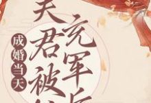 成婚当天，夫君被抓充军后这本小说怎么样？免费在线阅读试试-侠客文学