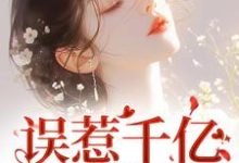 小说《误惹千亿狼性总裁，我被宠哭了》章节免费阅读-侠客文学