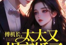 《谁说高岭之花不好啃？这也太好啃了》全集免费在线阅读（傅霆夜司瑶）-侠客文学