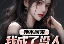 小说《她不回来，我成了没人敢惹的混混》在线章节阅读-侠客文学