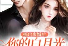 完整版的提出离婚后，你的白月光怎么不香了小说在哪里可以免费读到？-侠客文学