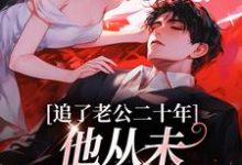 寻找追了老公二十年，他从未认真对待我小说的最新更新章节-侠客文学