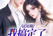 试用期，我搞定了上司邵晨孙霏琳小说大结局免费试读-侠客文学