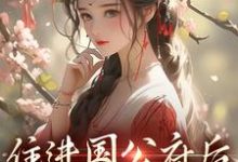 沈青梨魏缜小说住进国公府后，我成了香饽饽！在线阅读章节-侠客文学