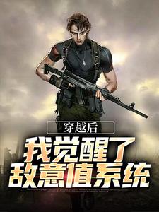 穿越后，我觉醒了敌意值系统小说，穿越后，我觉醒了敌意值系统章节在线阅读