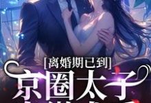 沈青瓷席星野小说在线章节免费阅读（离婚期已到！京圈太子卑微求爱无弹窗无删减）-侠客文学