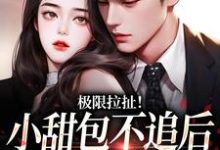 哪里能找到极限拉扯！小甜包不追后男神他慌了小说的全部章节？-侠客文学