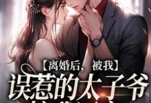 离婚后,被我误惹的太子爷接我回家小说,离婚后,被我误惹的太子爷接我回家在线阅读-侠客文学