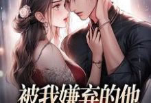 被我嫌弃的他，竟成了我的港湾小说全文阅读需要付费吗？寻找免费资源-侠客文学