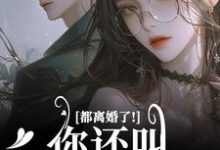 已完结小说《都离婚了！你还叫我夫人干嘛》最新章节-侠客文学