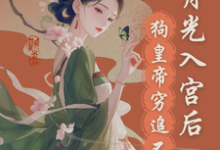 宫斗？这皇帝根本不让我玩这本小说完结了吗？免费查看最新章节-侠客文学