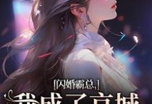 小说《闪婚霸总，我成了京城千亿宠儿》在线章节阅读-侠客文学