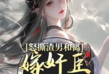 在线免费阅读怒撕渣男和离，嫁奸臣高攀不起完整小说-侠客文学