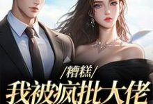 糟糕，我被疯批大佬缠上了！小说的所有章节都能在哪里免费读到？-侠客文学