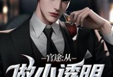 在线寻找官途：从做小透明开始小说的无删减版本-侠客文学