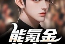 能氪金的人生，谁还肝啊最新章节，能氪金的人生，谁还肝啊章节在线阅读-侠客文学